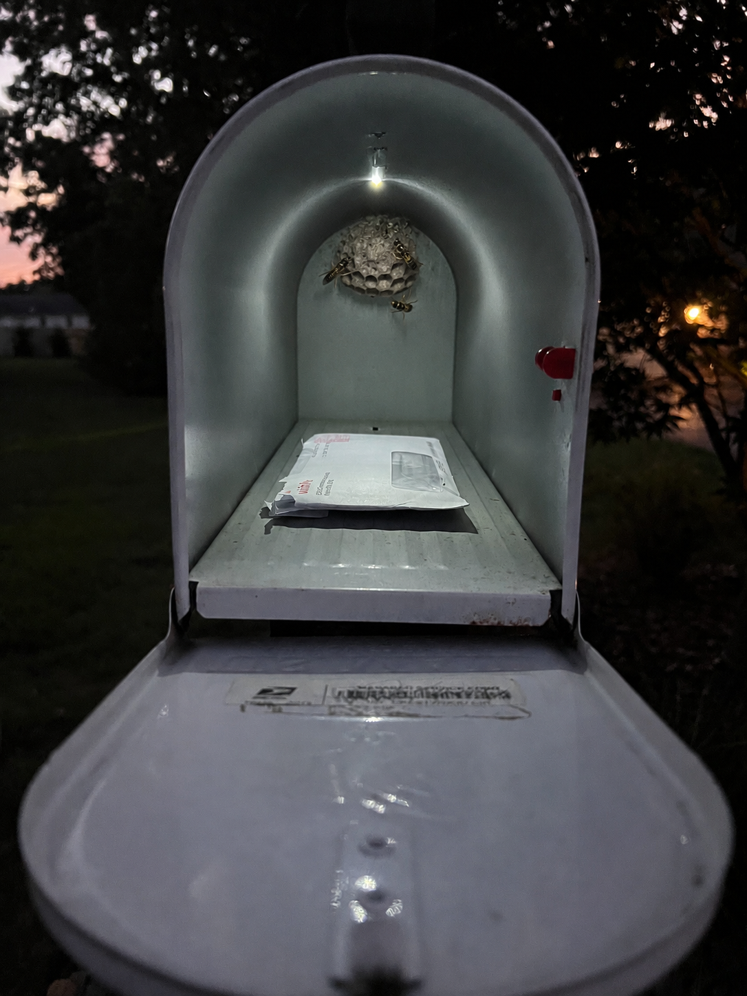 Mailbox Night Light